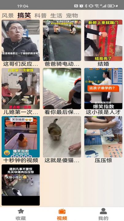 凤雏影视app下载