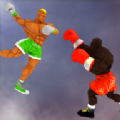 力量竞技场3D游戏Punchy IO选择安卓汉化版v1.0