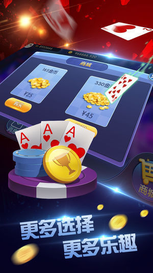 巅峰棋牌官方网站入口手机版