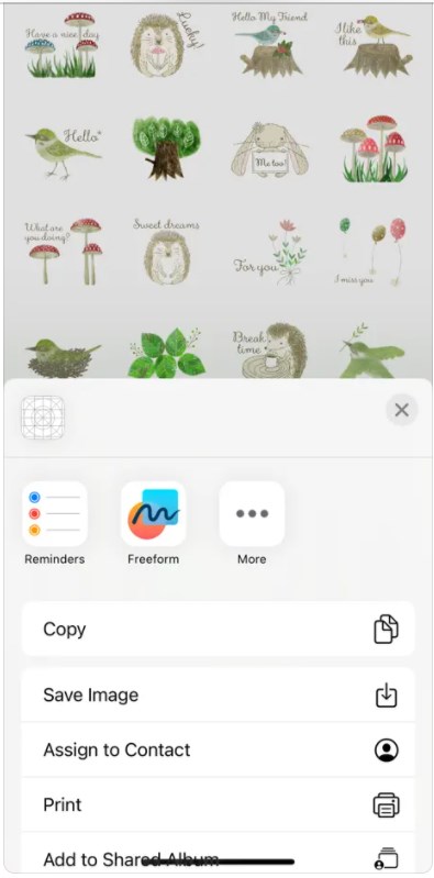 Forest Furry Friends下载