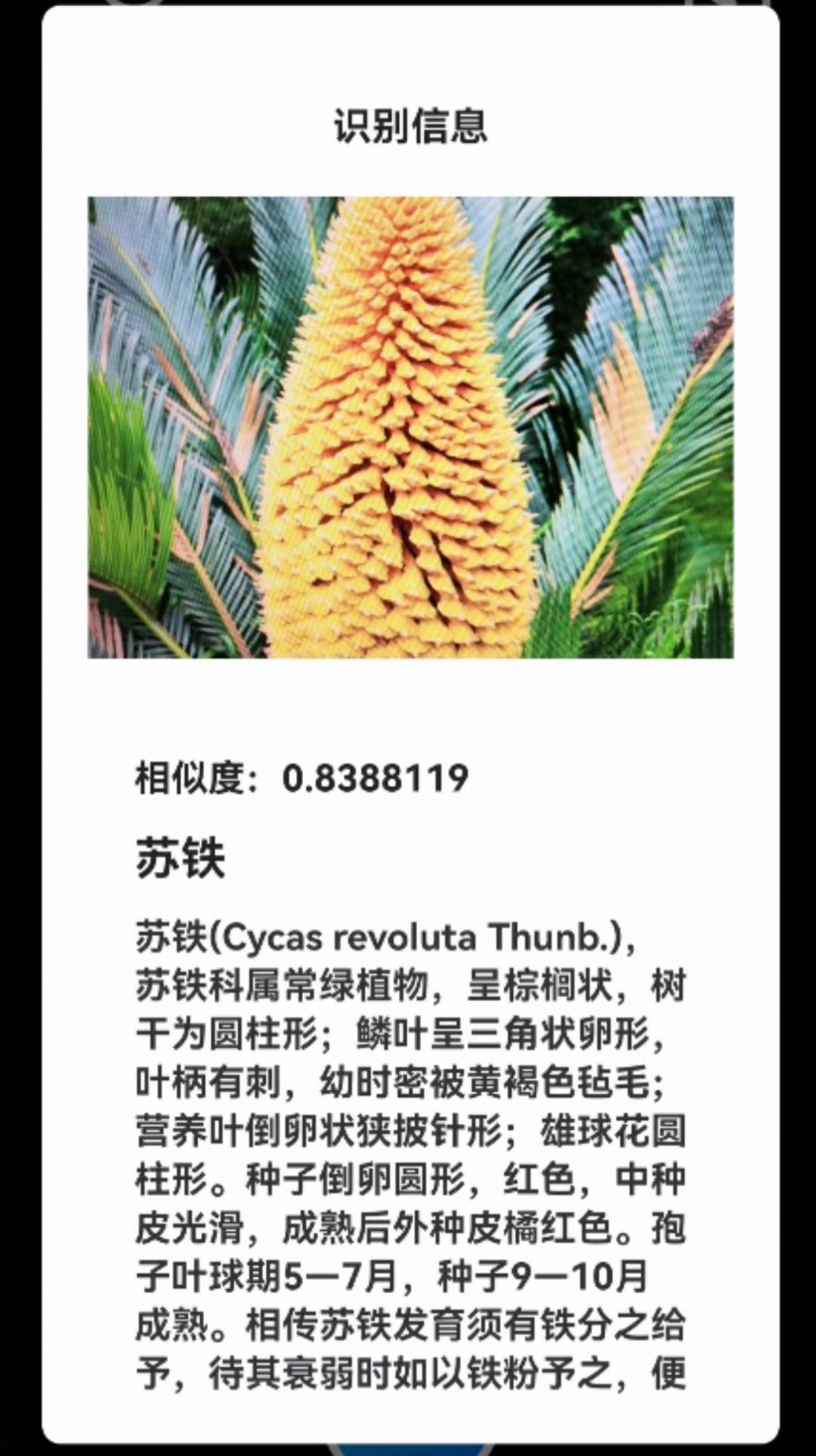 君子兰宝匣工具箱app下载