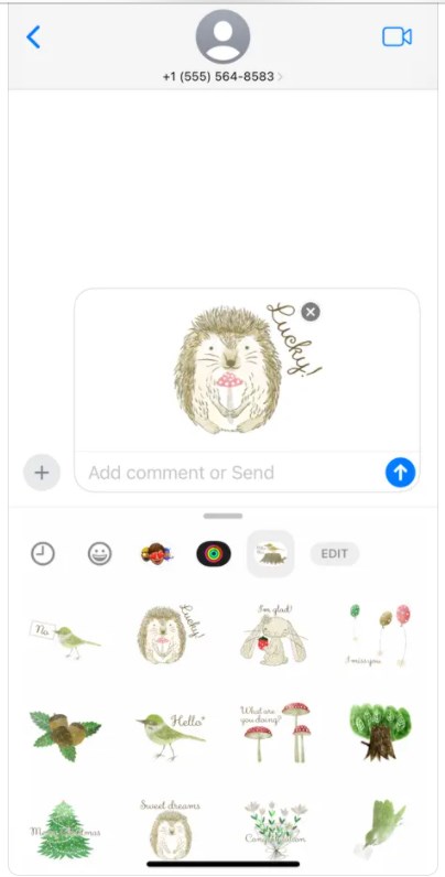 Forest Furry Friends下载