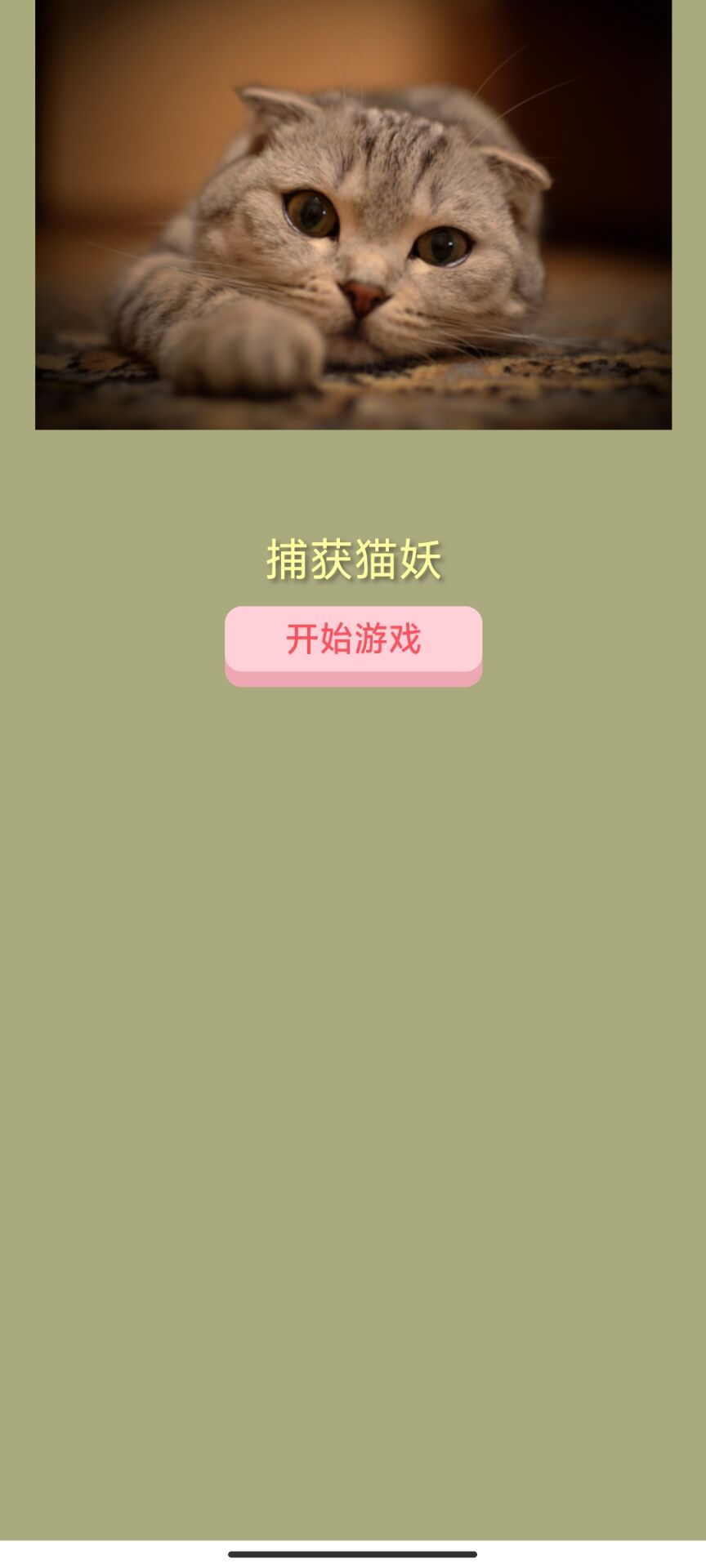 捕获猫妖小游戏免费版