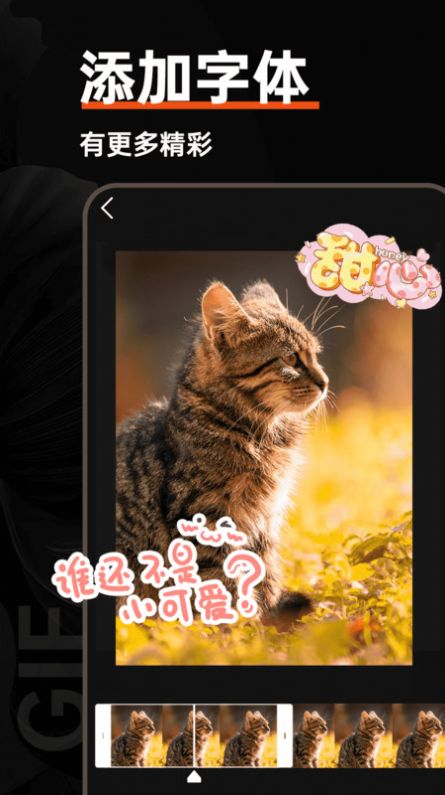 GIF动图制作器app下载