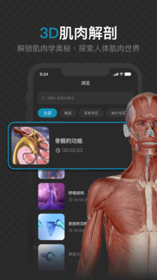 3D肌肉解剖学教程软件