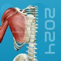 3D肌肉解剖学教程软件手机版v1.0  v1.0 