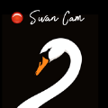 Swan Cam胶片相机app免费手机版v1.0.3