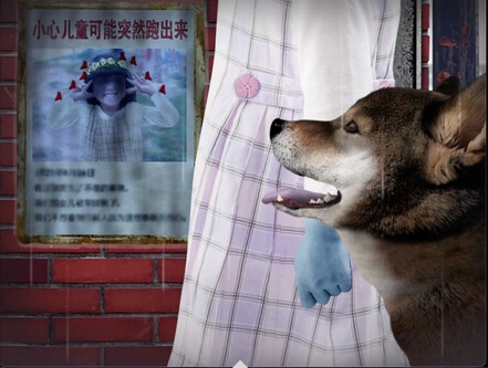翌日波奇狗的历险记下载最新版