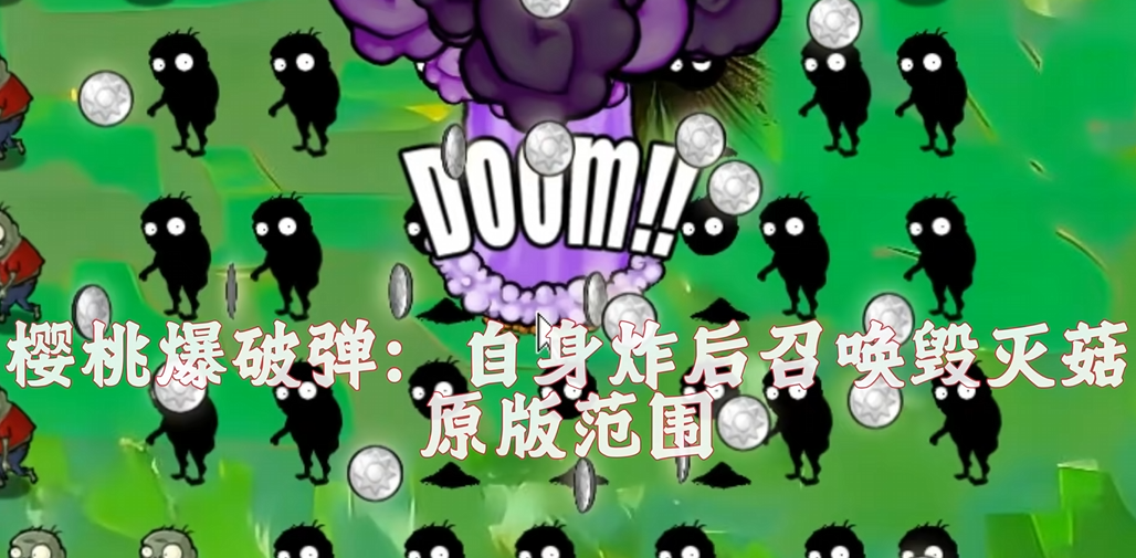 植物大战僵尸风韵版直装版下载