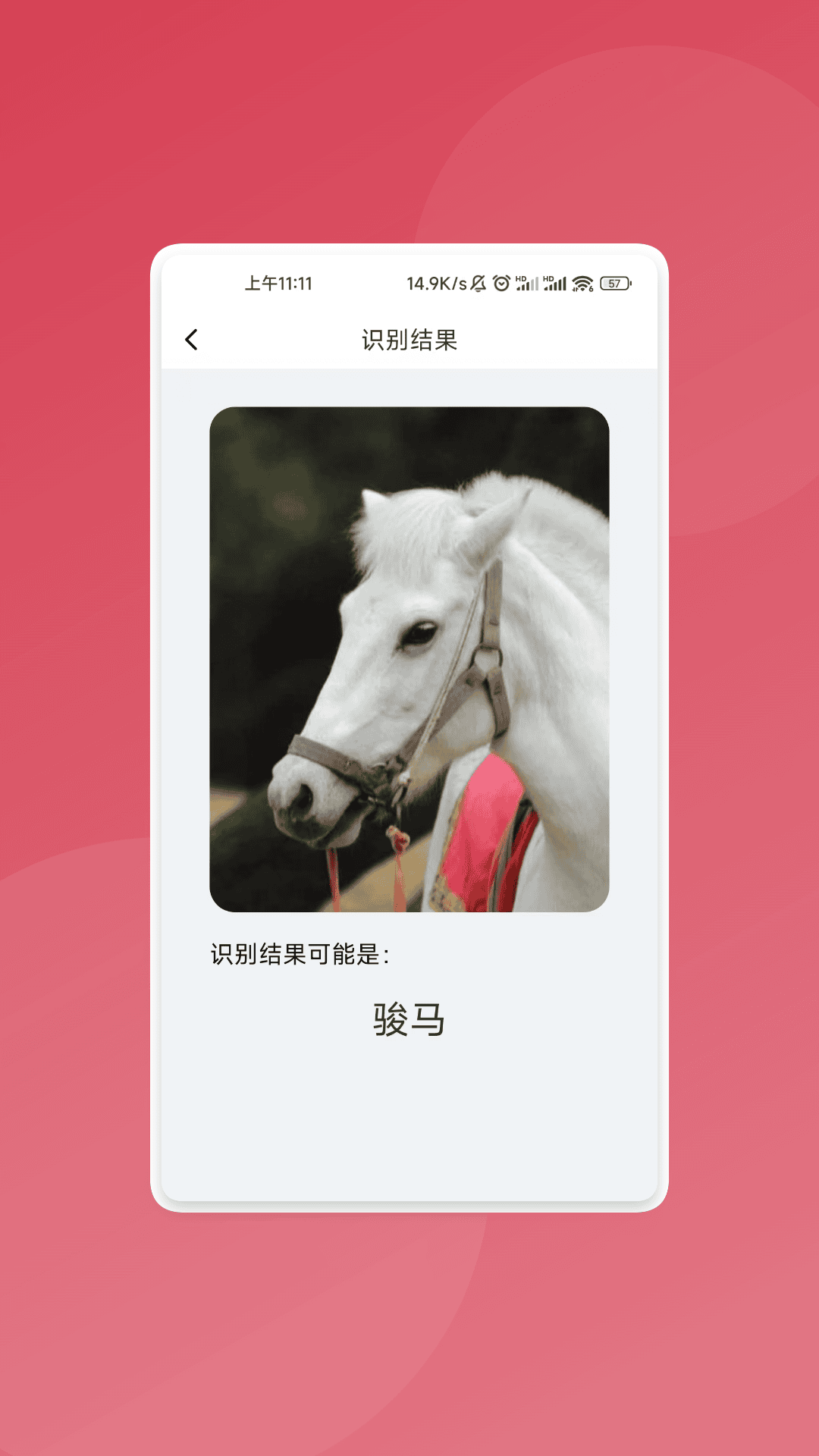 智识文件大师下载安装