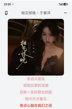 BrownMusic综音音乐app下载