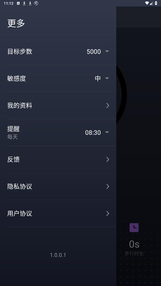 专业计步器手机软件下载