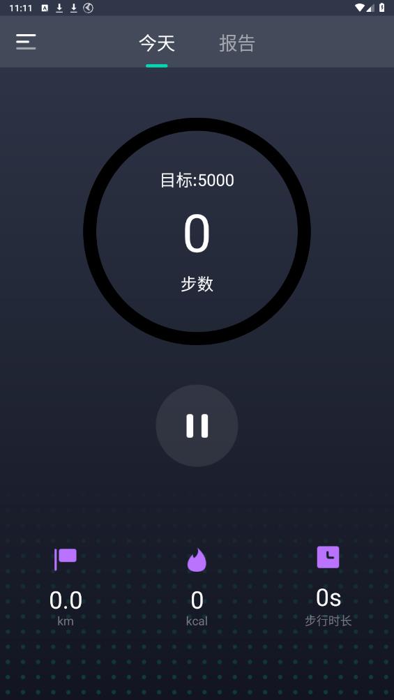专业计步器手机软件下载