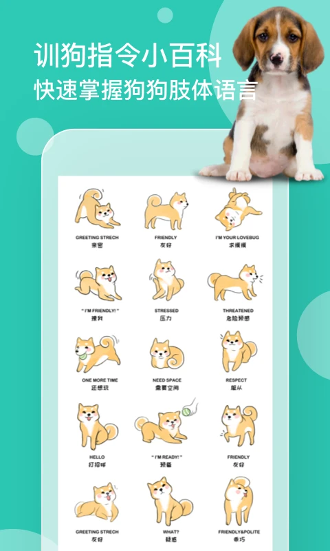 人狗对话翻译器app下载