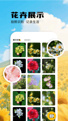 扫描识万物软件app下载